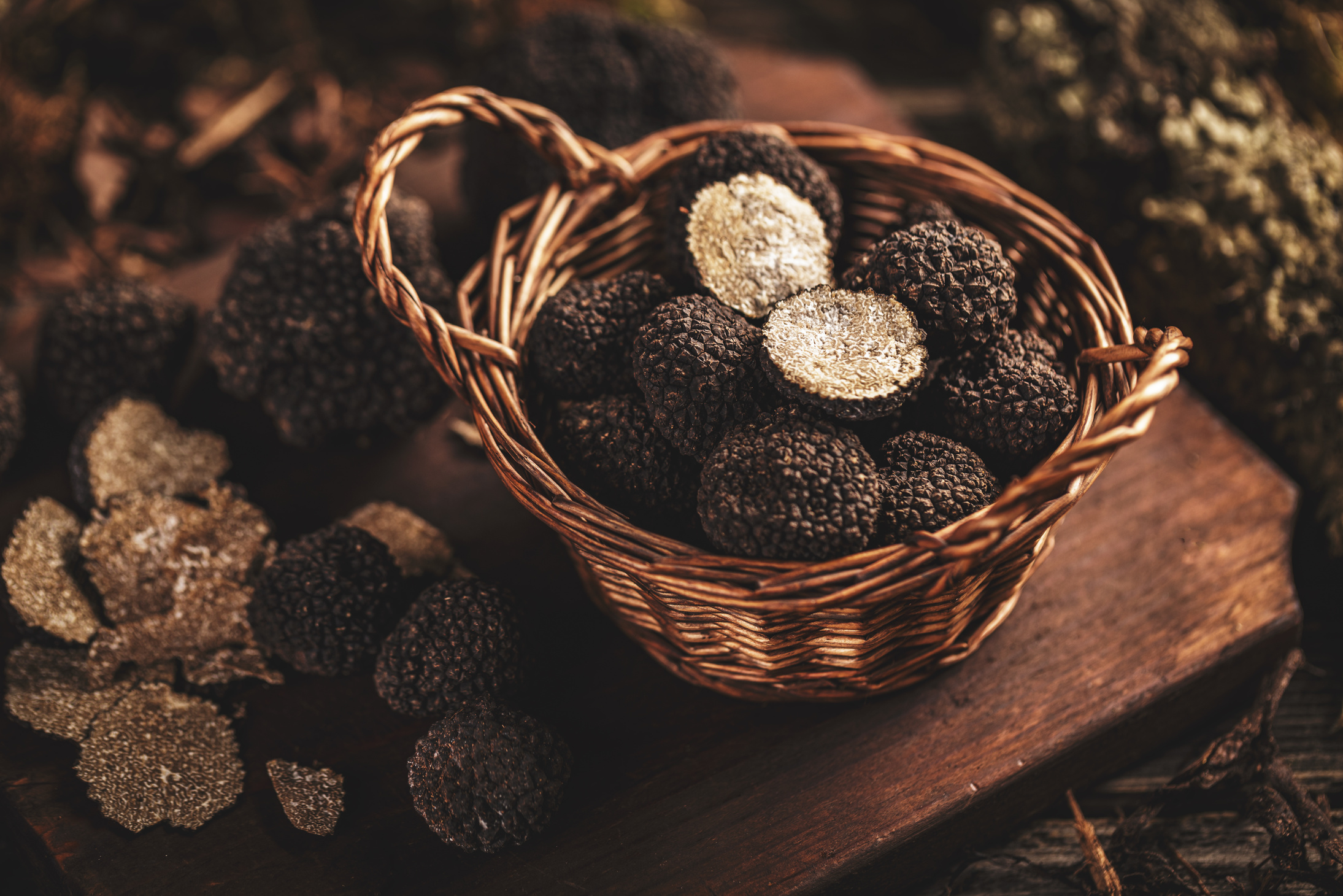 Black truffle mushrooms